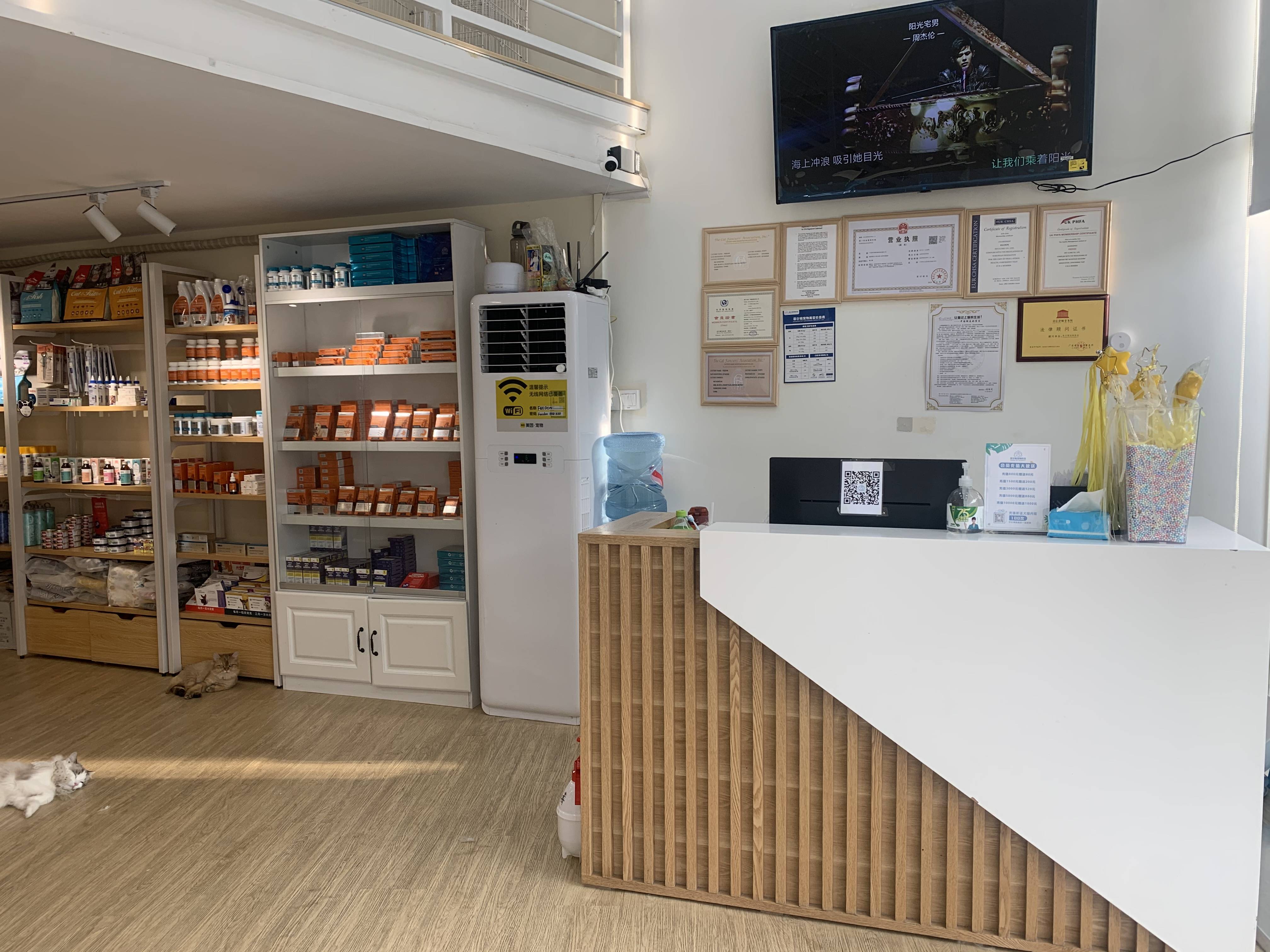 菲尔顿宠物药店加盟宠物经济快车道