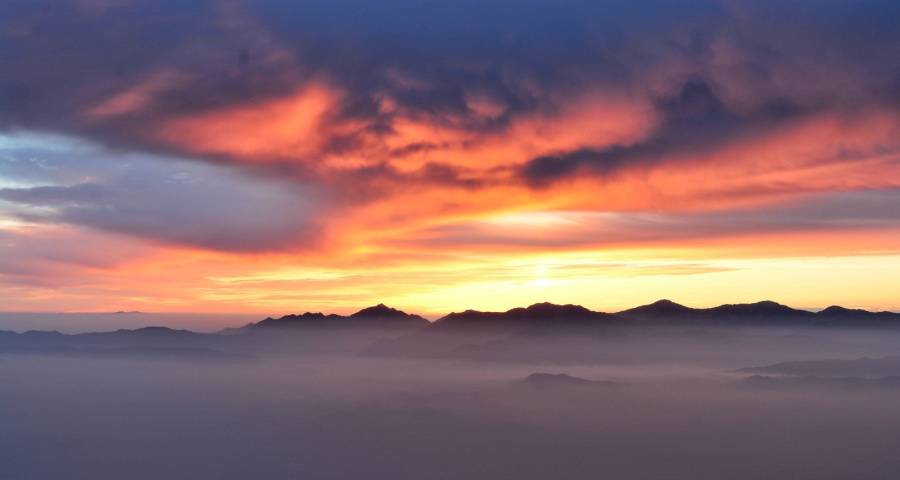 家电产业要抓住这一轮升级消费的大红利-家电圈官网