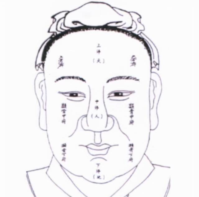 啥是九龙骨 dccaf451fc794542abbf39a6f21e1cec.jpeg