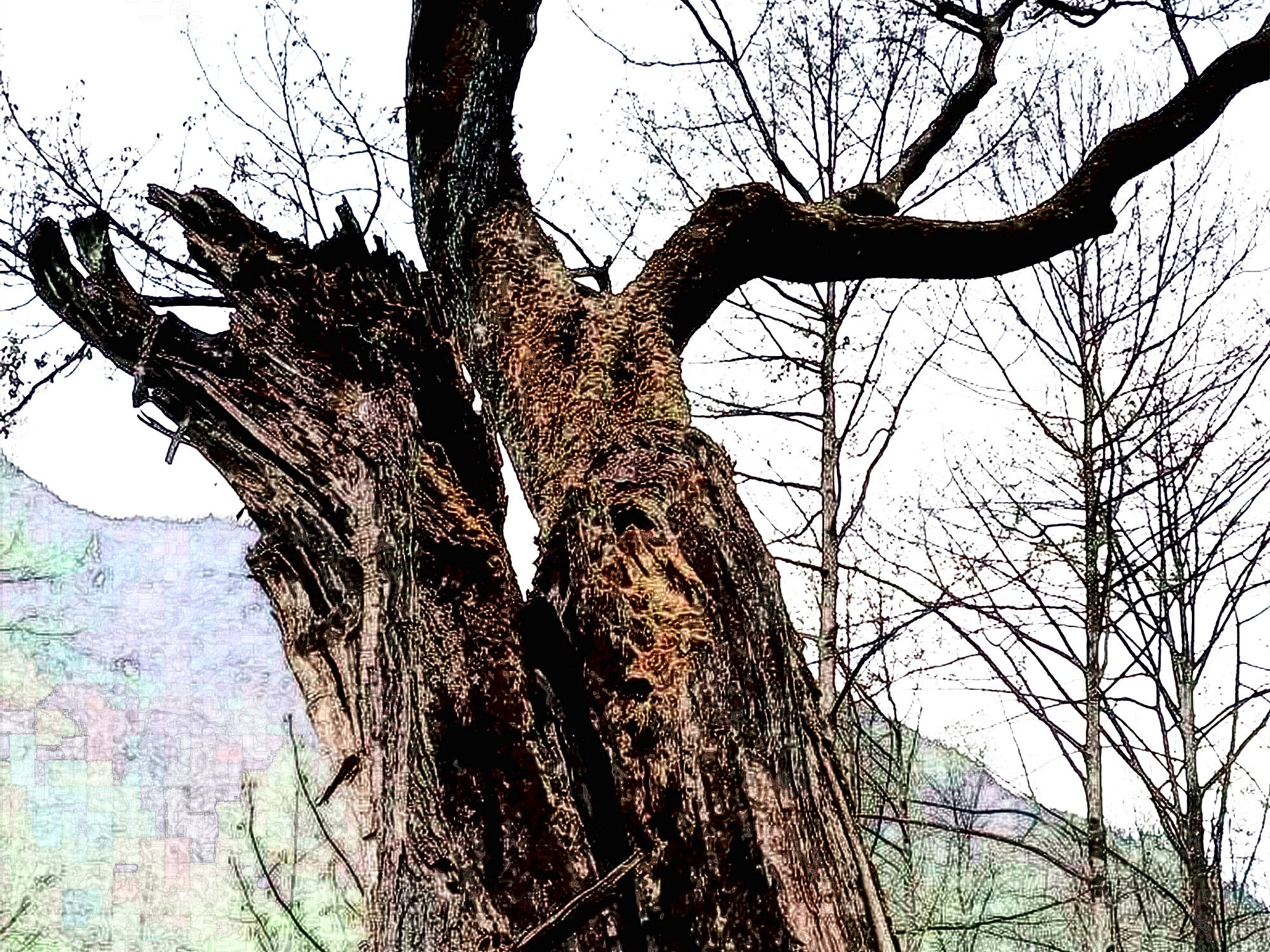 雷劈树此后王彩霞痛改前非,对婆婆加倍孝顺,嘘寒问暖不缺衣食,等陈东