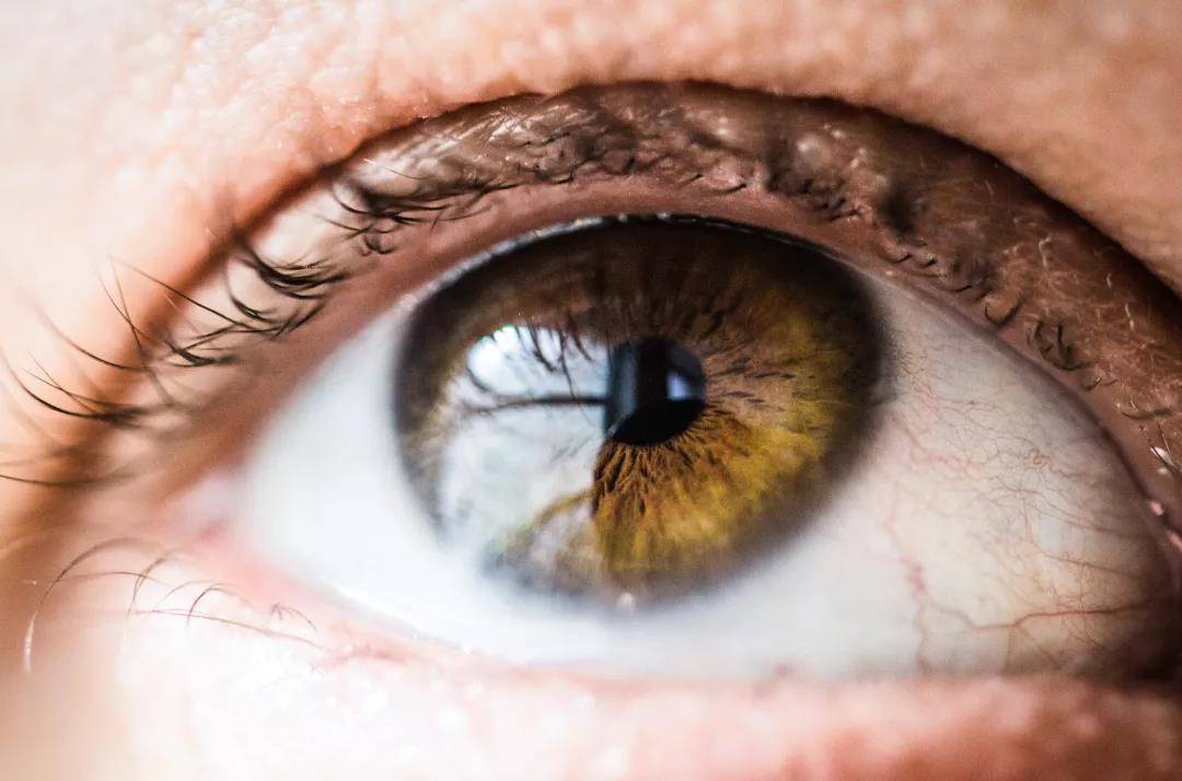 有润滑,湿润,保护,抗菌和营养眼睛表面的作用