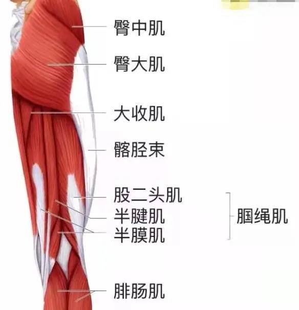 髋关节|重阳一起爬山吗？不是1秒下山的那种
