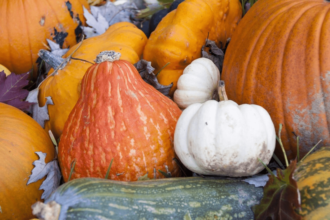 莲藕|秋天，这6种蔬菜从不打农药，鲜嫩营养又便宜，为了健康不妨一看