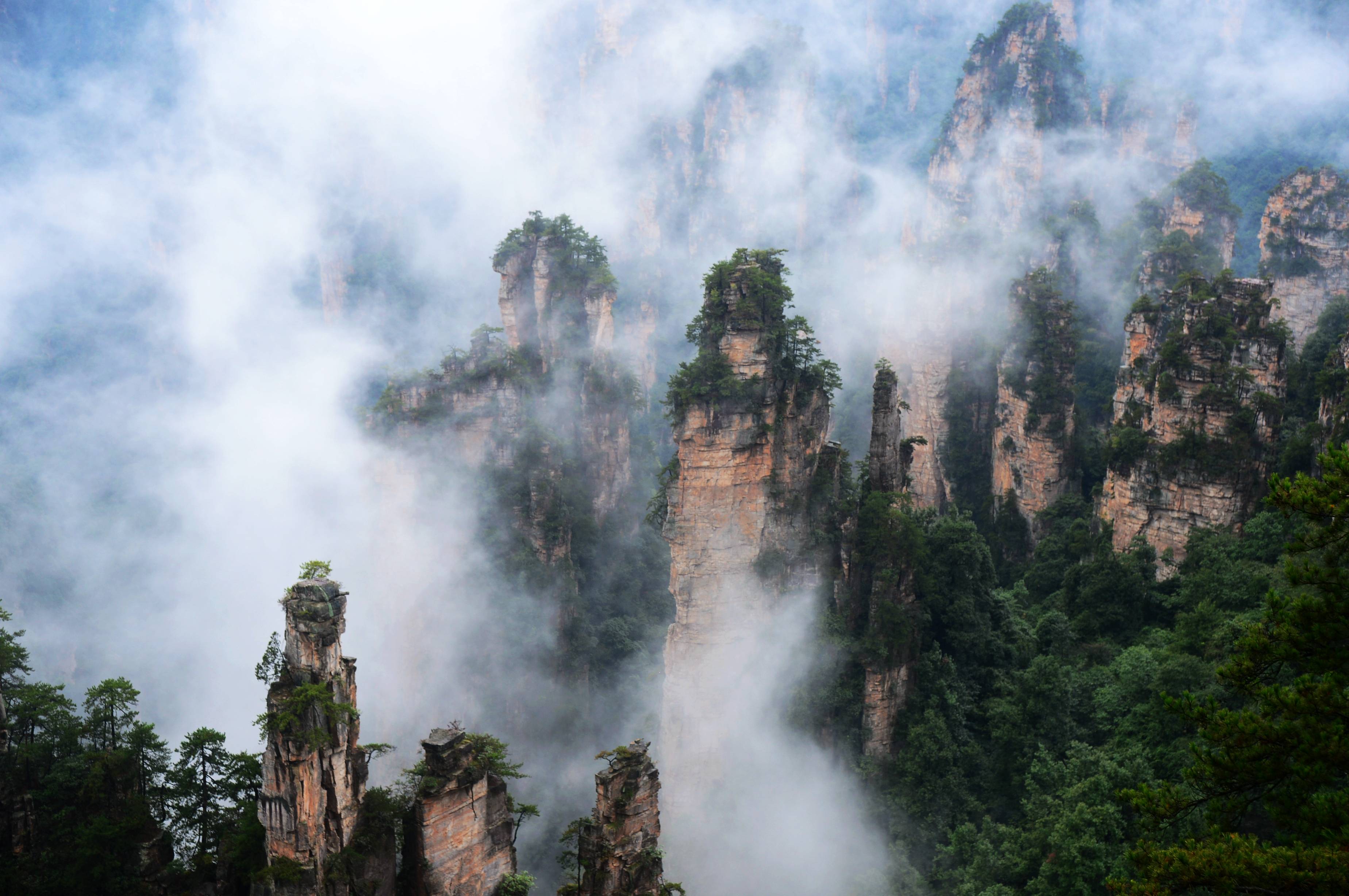 张家界武陵源一场秋雨一场仙漫山云海赛蓬莱