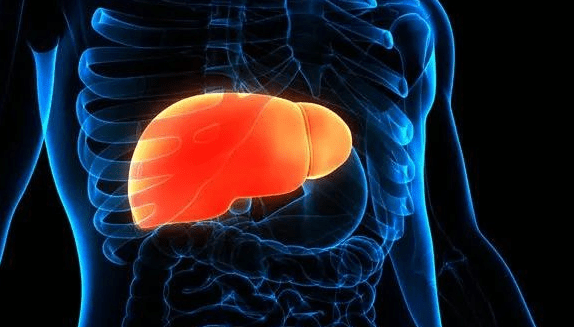 阴性|乙肝病毒DNA阳性,表面抗原却是阴性,为啥?