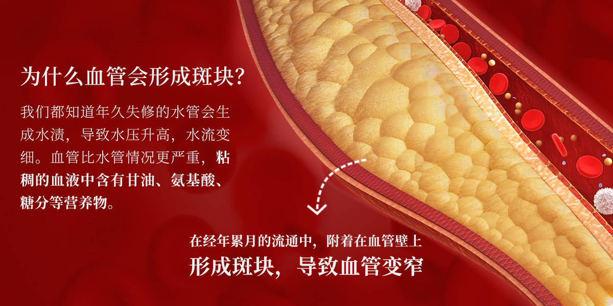 为什么天然虾青素会被称为血管"清道夫"?_血液