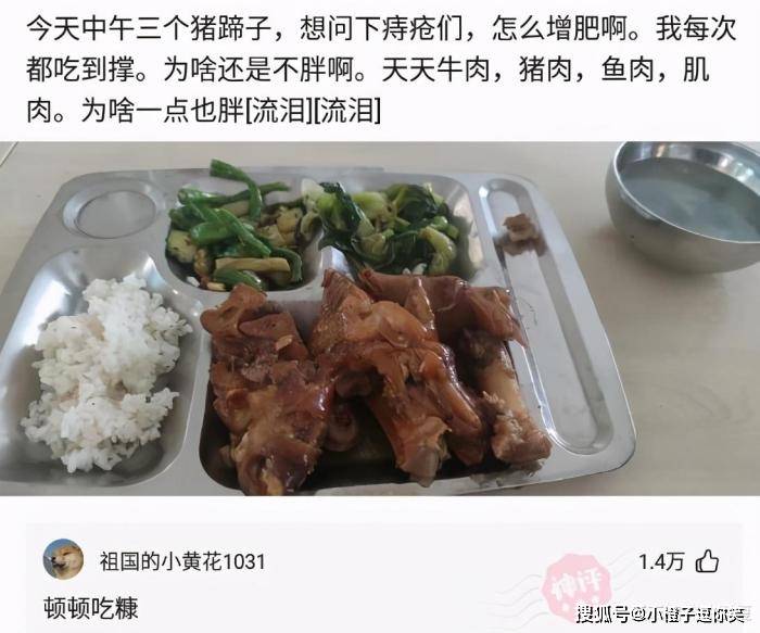 爆笑第15期：那些意想不到的大神評論. 搞笑整蠱 第1张
