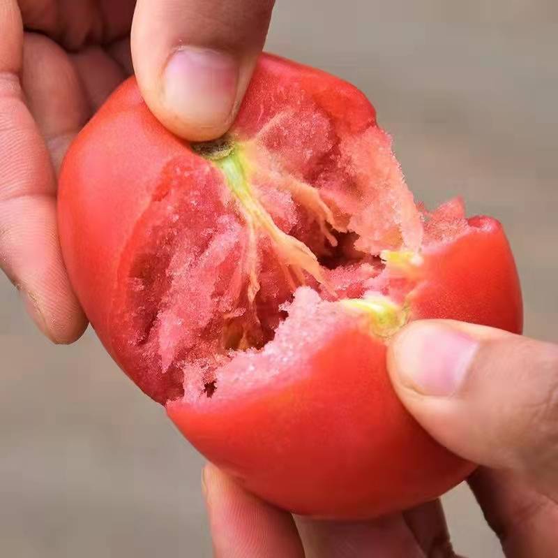 催熟的和自然成熟的有什么区别催熟的西红柿怎么分辨出