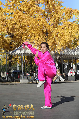 北京花拳亮相鸟巢