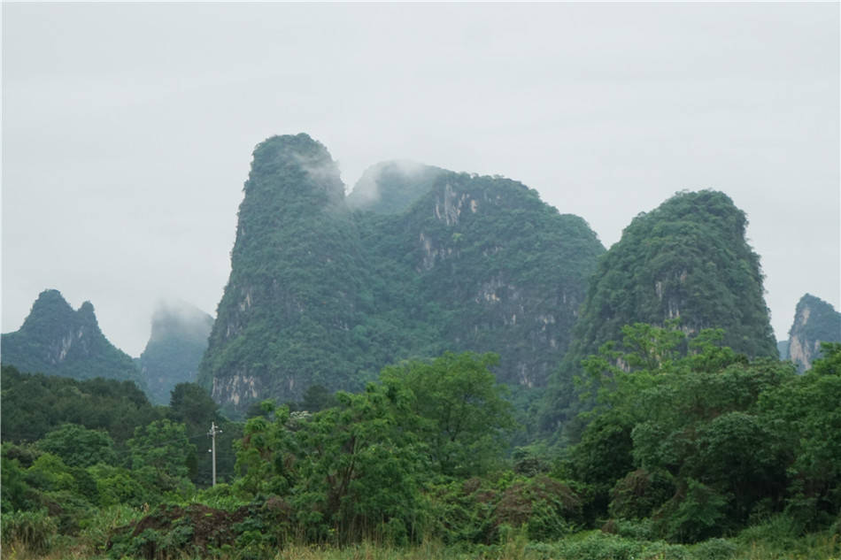 漓江|广西：阳朔，十里画廊，遇龙河两岸的“玉碧罗青”