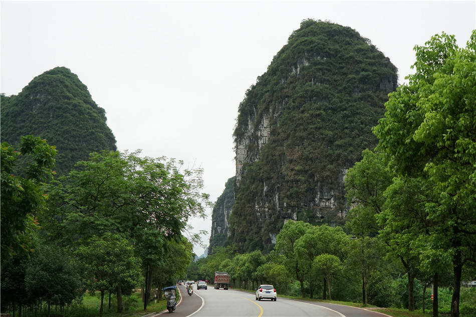 电瓶车|广西：阳朔，十里画廊，遇龙河畔恬淡的“田园诗”