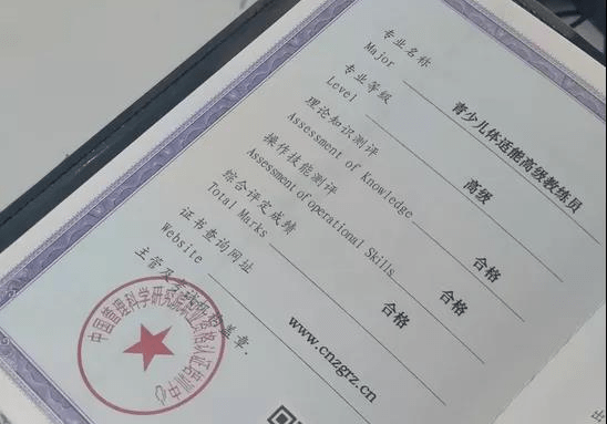 并完成认证考核后获取青少儿体适能培训资格,ihea国际健康与体育运动