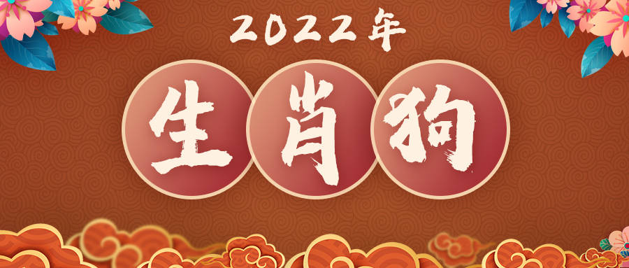 事业|董易奇2022年生肖狗运势大全