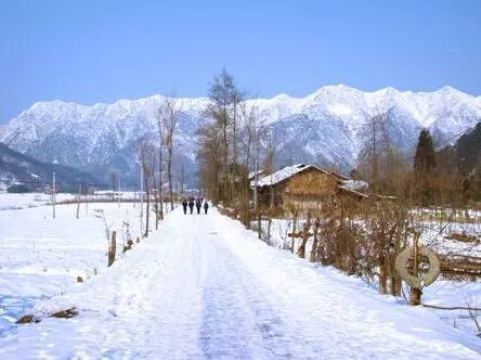 立冬来临，重庆的天然氧吧......雪花漫天飞舞，冬季赏雪来这里！