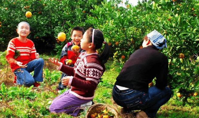 夫夷|2021中国·崀山第七届脐橙文化旅游节与您同行