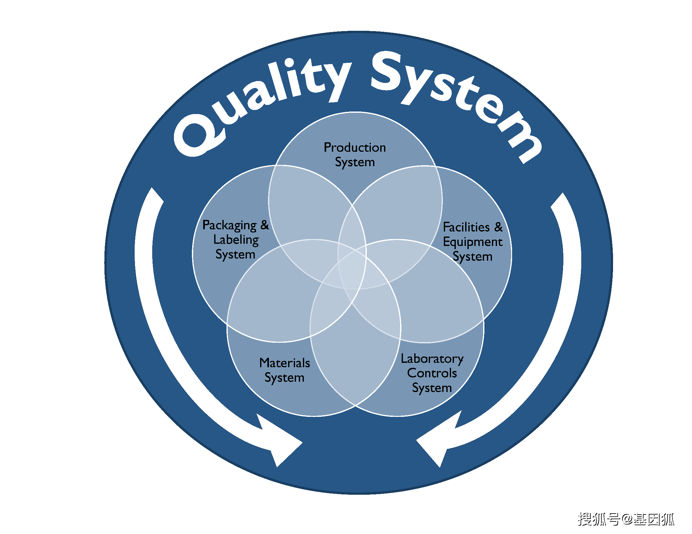 数据完整性和cGMP符合性问答（中英文对照版）_and_the_药品