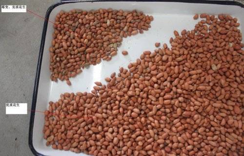 榨油机出油率低可能是受这四个因素影响