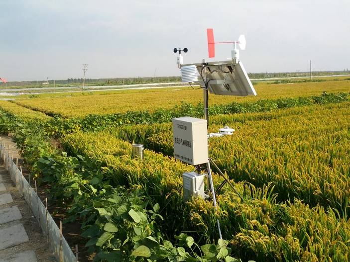 有了田间气象站,农民伯伯可以实时掌握田间气象_农业