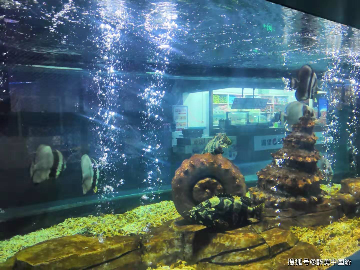 探访山西海立方海洋公园,既能观赏又能科普,适合亲子同乐_表演