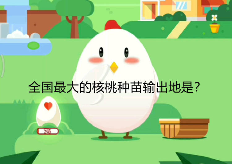 新村小课堂：全国最大的核桃种苗输出地是？