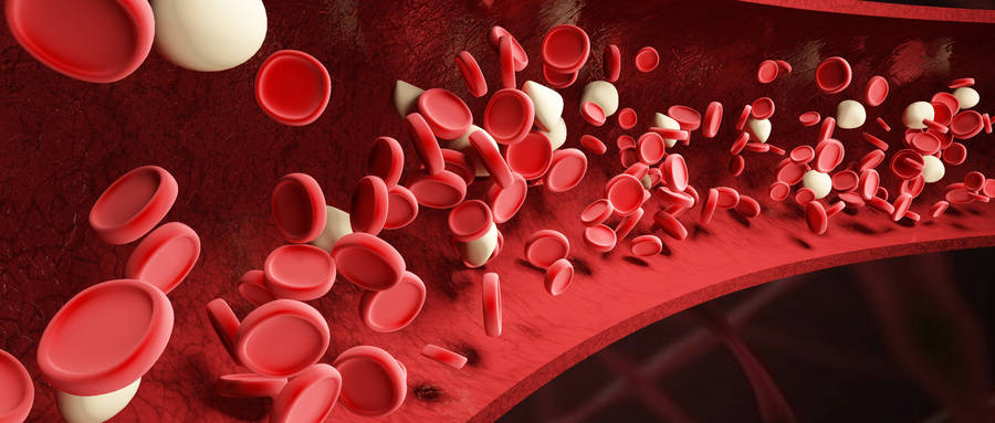 空腹|好安森：糖尿病控制的好坏，是以这个血糖为准的？