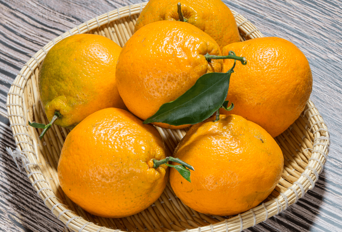 材料|明日小雪，记得吃“3肉2果1菜”，应季而食营养足，寒冬顺利过