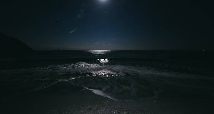 高端家电会让消费者回归实体店吗？-家电圈官网