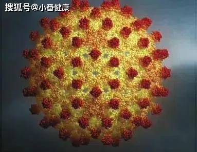 美国|丁肝在研创新药Lonafarnib，口服抑制剂，完成3期D-LIVR注册