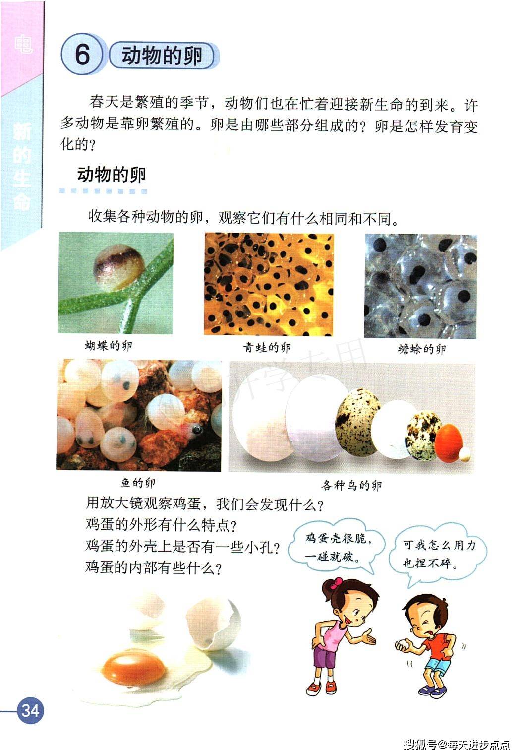 6f7e8d84f5cc452cb37872a5a11dec86.jpeg