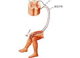 症状|运动神经元损伤不得了 这些方法帮助你发现疾病