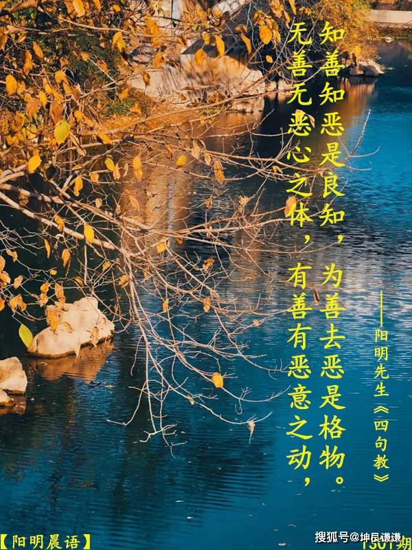 【阳明晨语】1301期 四句教_为善