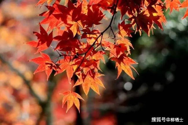孟子的名言名句选读 30句 仁者 天下 所欲
