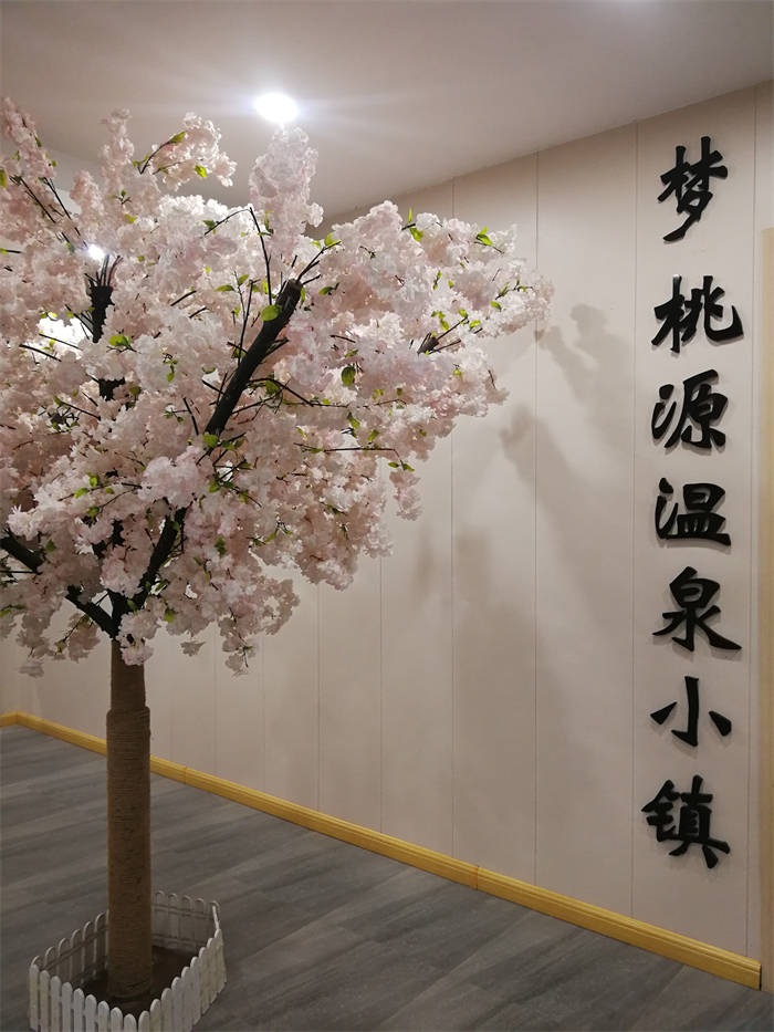 梦桃源温泉小镇开业预售票69元/2人的活动:活动日期:2021年11月28日至