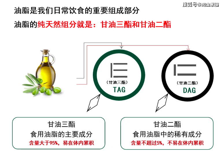 南山康脂甘油二酯食用油是什么成分?