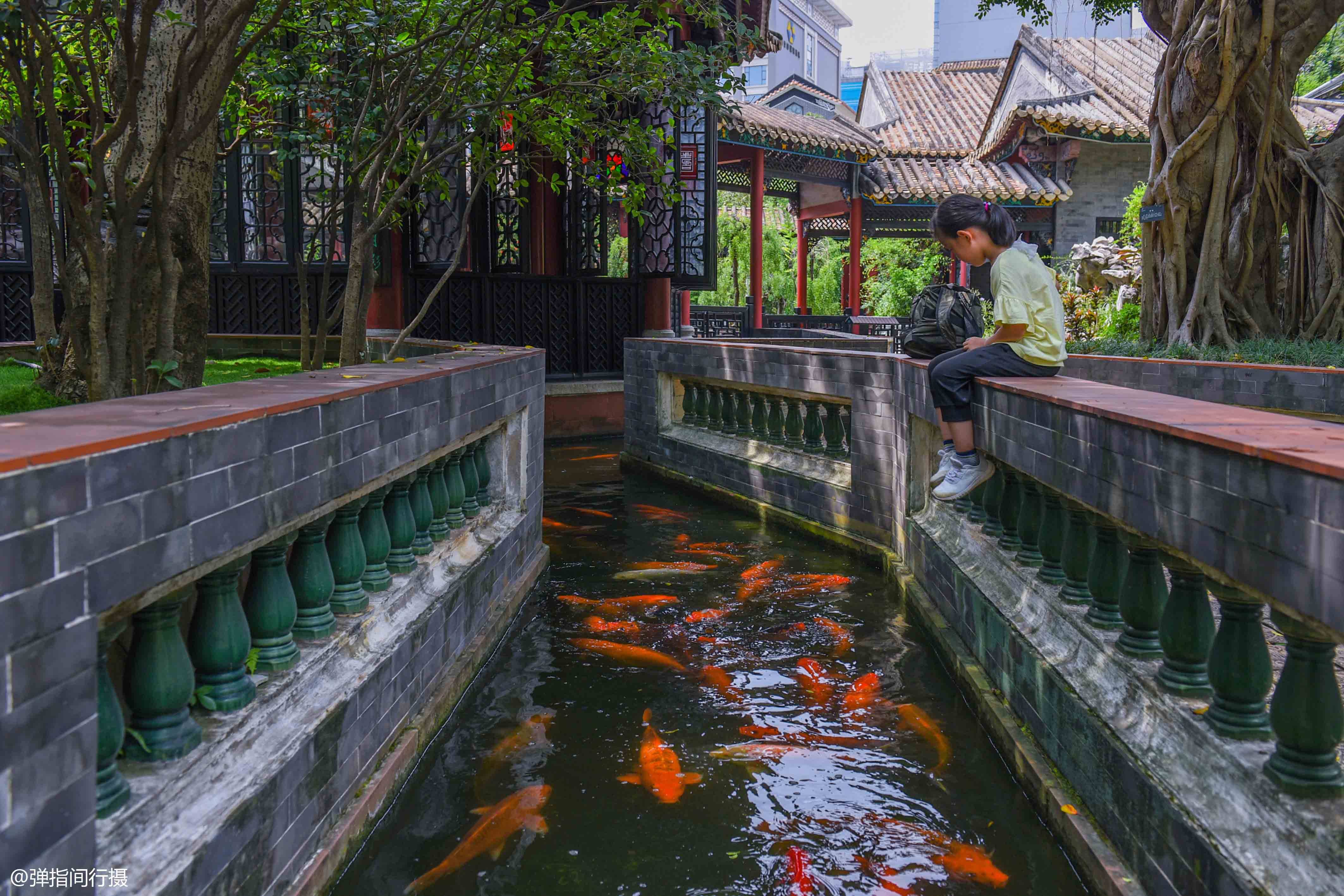 漫游“世界美食之都”顺德，吃喝玩乐齐推荐，冬日寻味旅行约起来