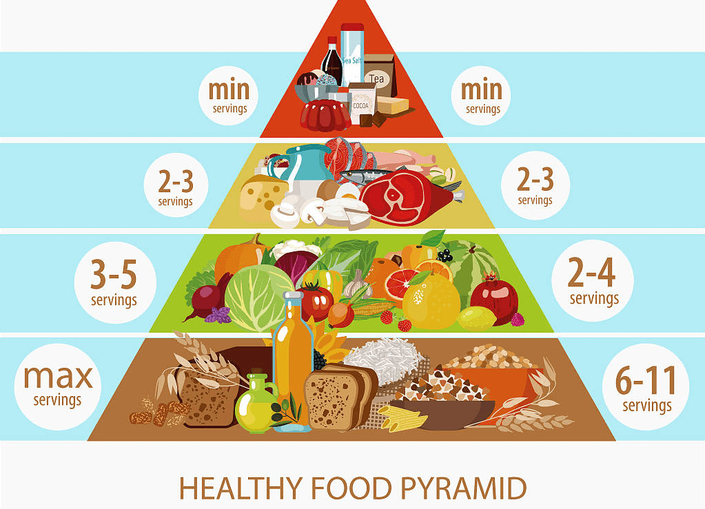 前沿解读中国超重肥胖医学营养治疗指南2021重磅发布