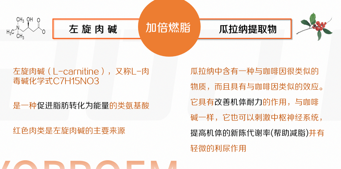 63b9440c77d046938e2bfa6bafa5743c.png