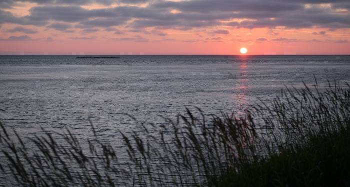 扫地机拖地机洗地机，清洁电器市场厂商赚钱还得趁早！-家电圈官网