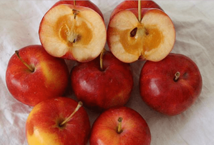 作为东北的孩子,对于糖心的沙果一定不陌生,那种果核处半透明的果子