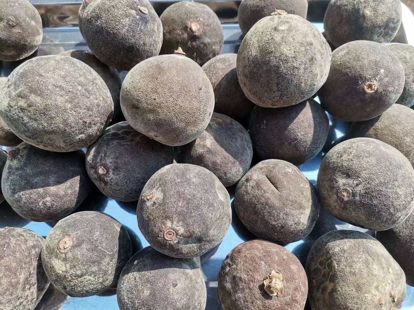 非常漂亮的化橘红正宗化橘红毛绒绒的