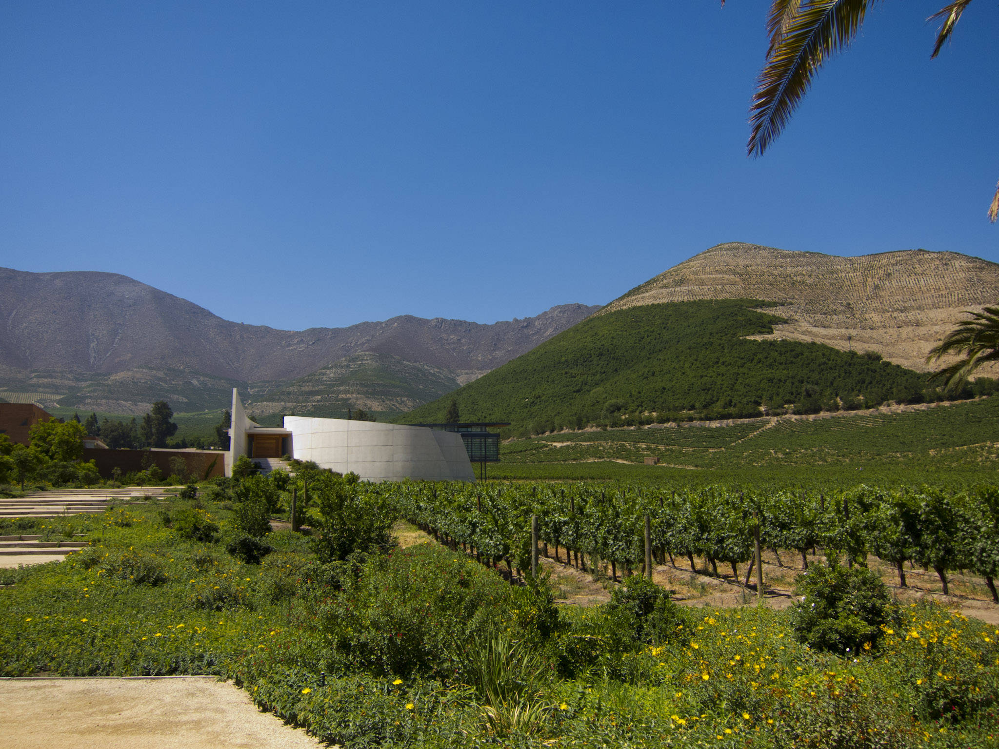 家族|最牛的家族：诞生过4位总统，足足影响了该国数百年时间