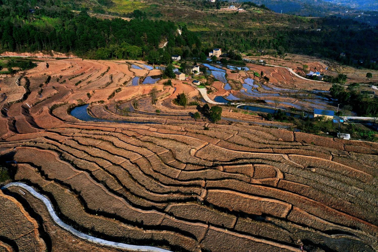 綦江区三江街道寨门村打造七彩梯田