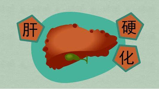 治疗|胡远忠医师：肝纤维化与肝硬化有什么不同？