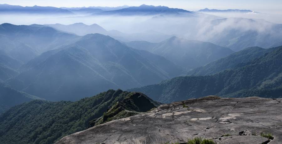家电以旧换新受宠高端好产品领衔，海尔美的海信康佳奥马三星变阵-家电圈官网
