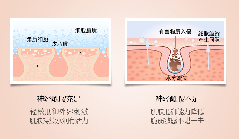 英树安抚肌肤“坏情绪” 试试英树神经酰胺舒妍细致系列