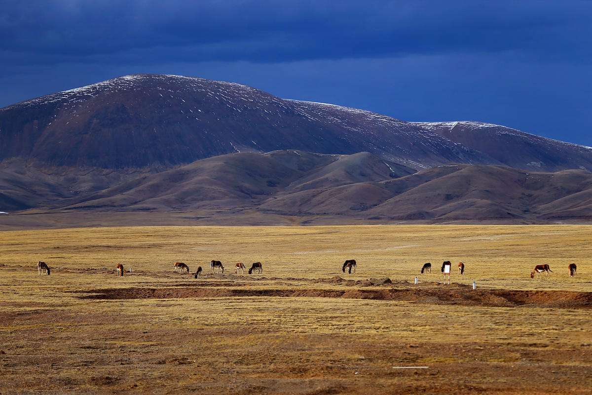昆仑山的景观 第二期 中昆仑—可可西里 阿尔金无人区_海拔_地表_冰川