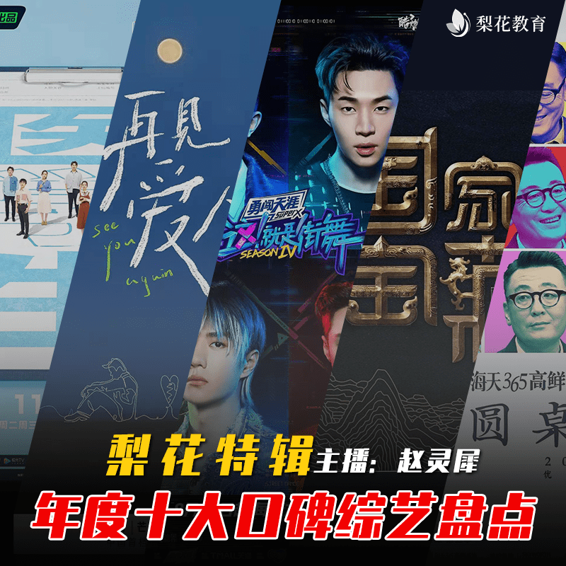 喜剧|年度十大口碑综艺盘点 |梨花特辑| 梨花教育