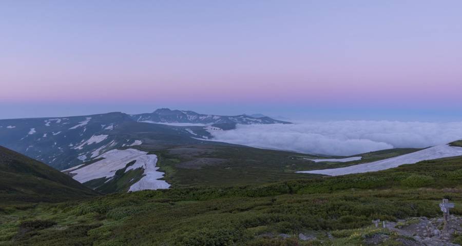年货节隐藏着家电业又一个春天-家电圈官网