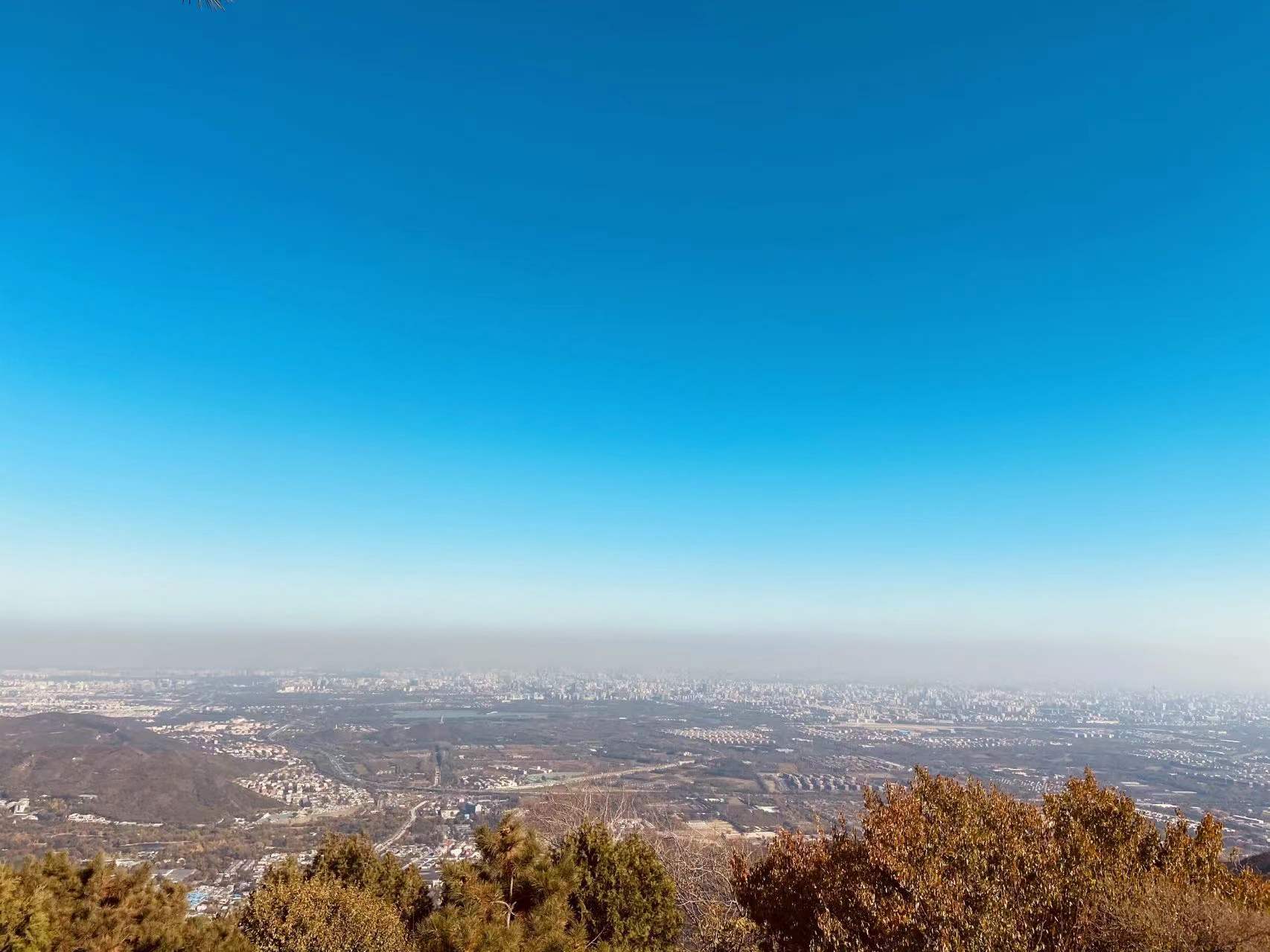 2020年股票跌幅排行榜_2020年以来跌幅最大的十只股票