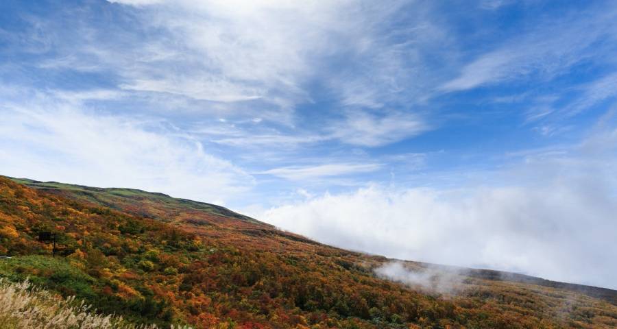 区域家电消费市场的变化没想到-家电圈官网